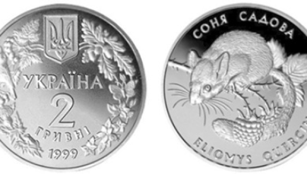 Соня садова (н)